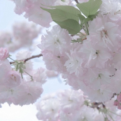 Furry绘画改稿灵感福瑞群